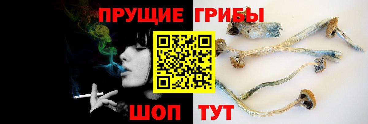 Галлюциногенные грибы GOLDEN TEACHER Усть-Лабинск